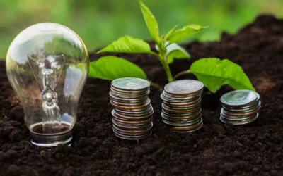 A Necessidade de Apostar em uma Economia Sustentável