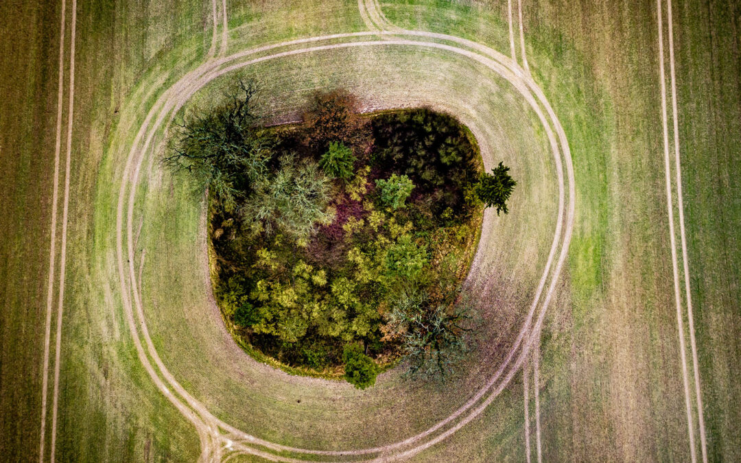 A Revolução Verde: Agricultura Sustentável e Economia Circular